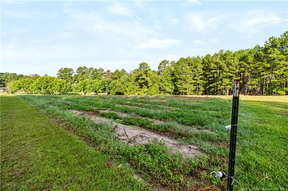 332 & 338 Docs Road Lillington, NC 27546