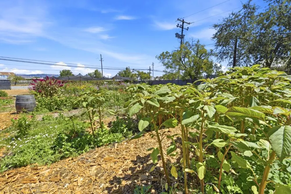 10095 Monterey Road Gilroy, CA 95020