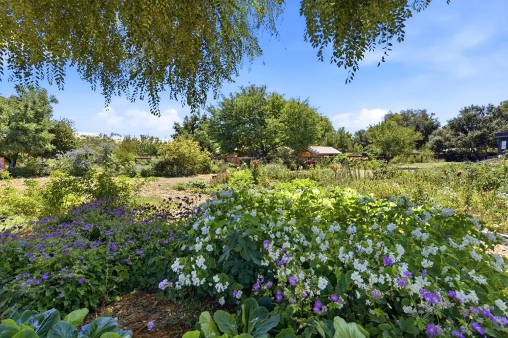 10095 Monterey Road Gilroy, CA 95020