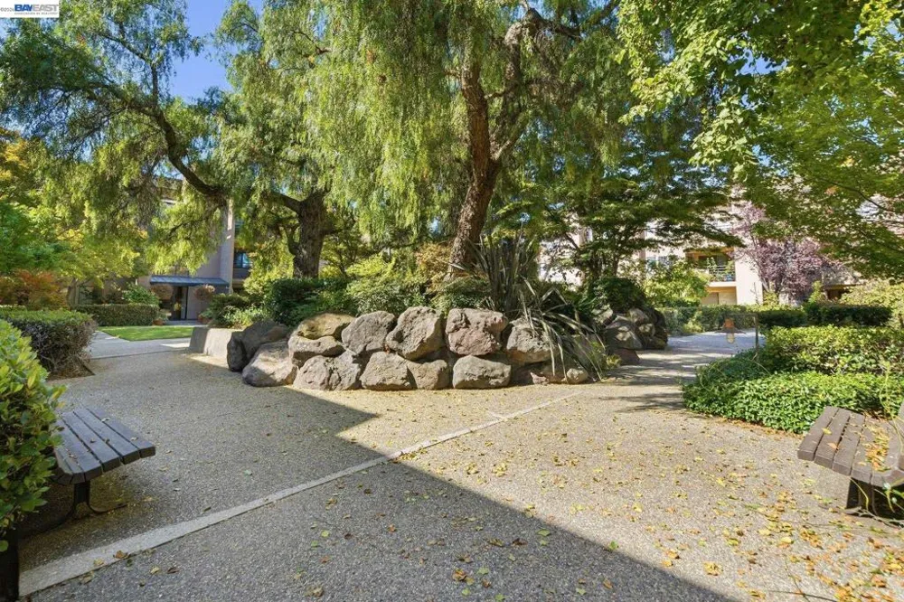 39199 Guardino Dr #372 Fremont, CA 94538