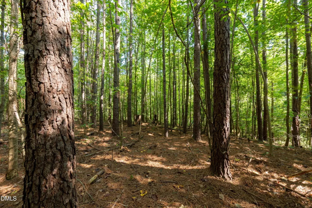 2643 Roberts Chapel Road Goldston, NC 27252