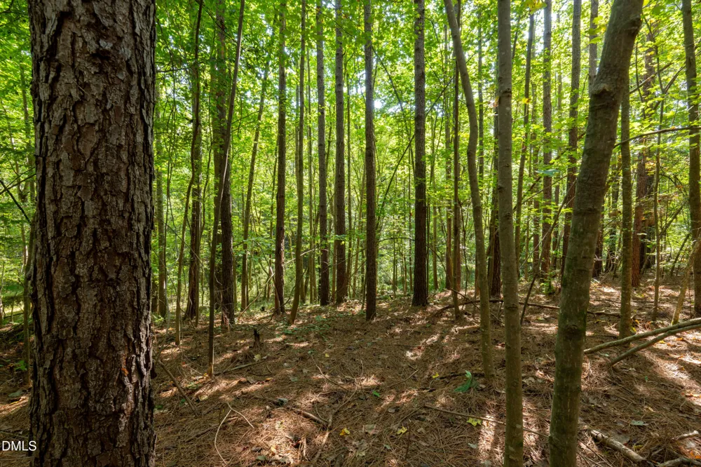 2643 Roberts Chapel Road Goldston, NC 27252