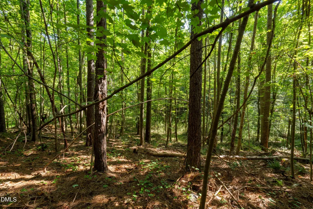 2643 Roberts Chapel Road Goldston, NC 27252
