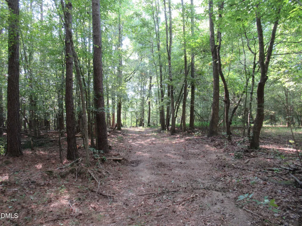 2643 Roberts Chapel Road Goldston, NC 27252