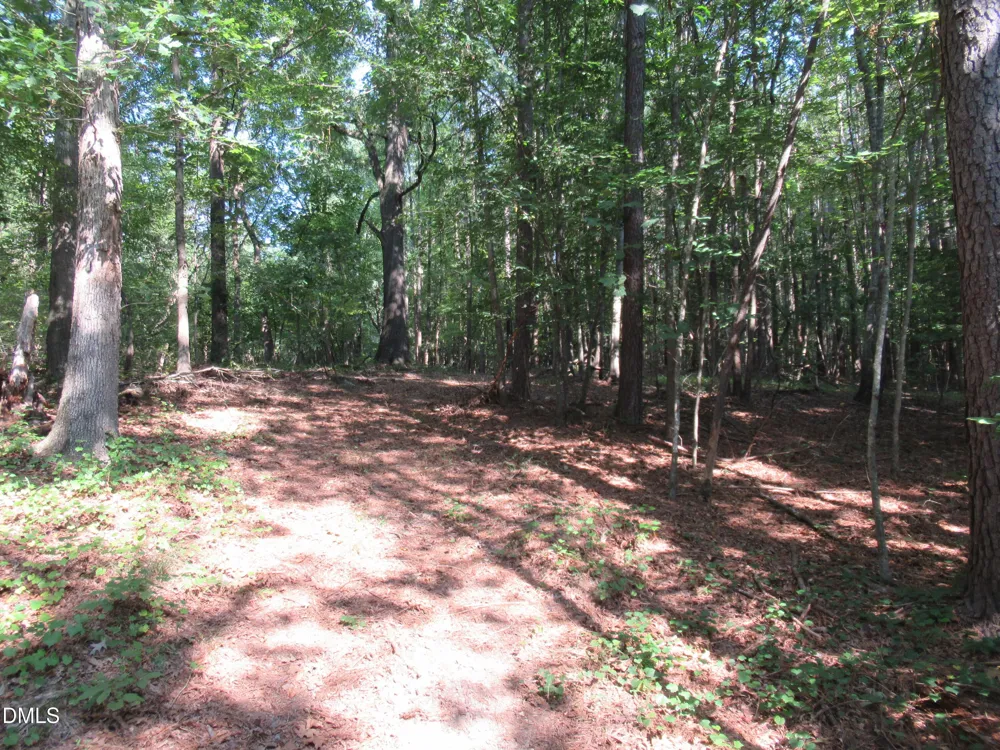 2643 Roberts Chapel Road Goldston, NC 27252