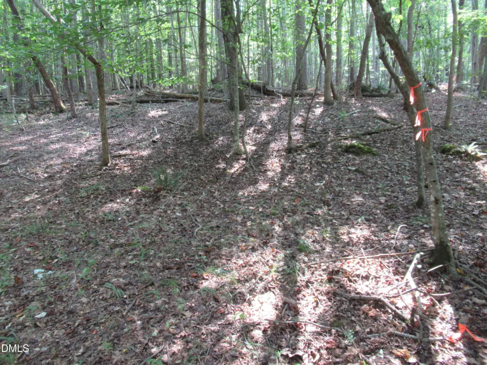2643 Roberts Chapel Road Goldston, NC 27252
