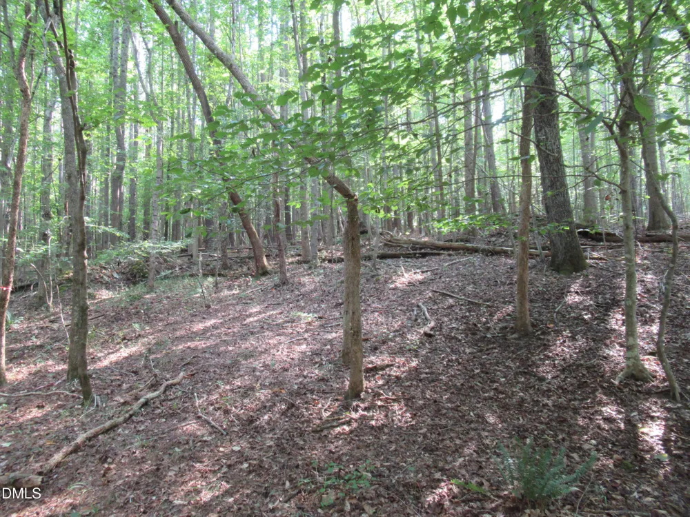 2643 Roberts Chapel Road Goldston, NC 27252