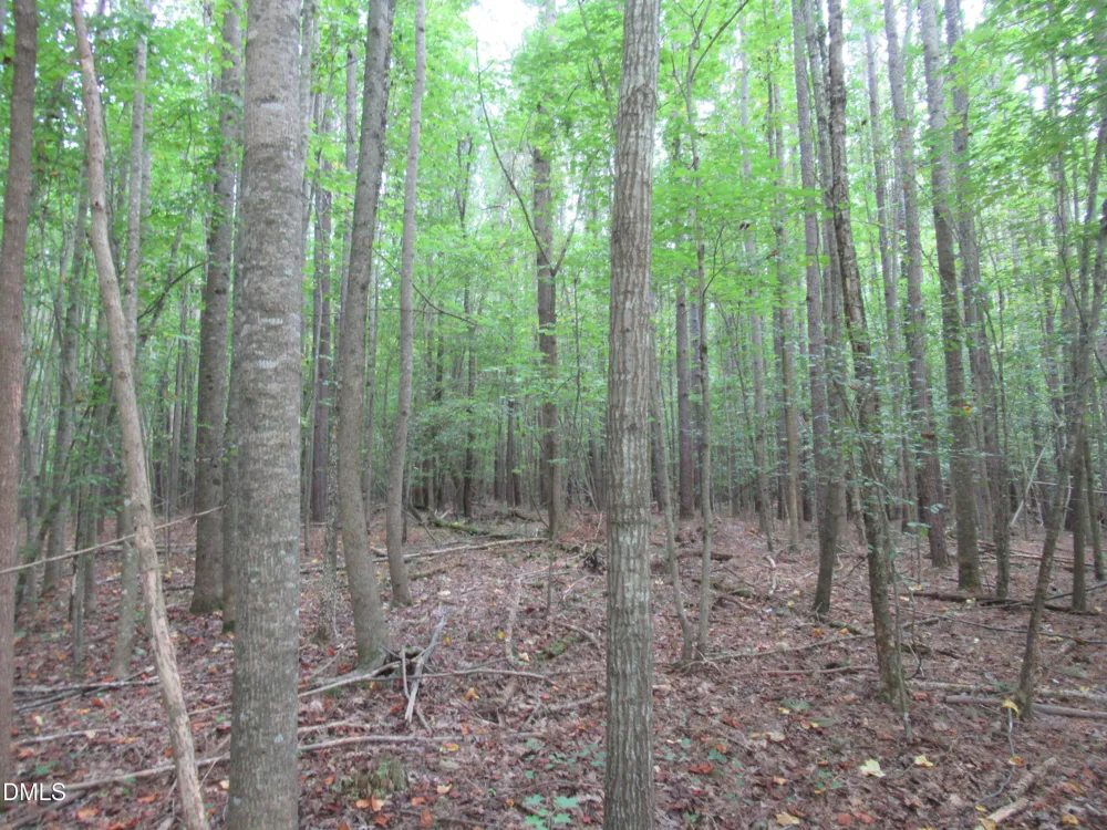 2643 Roberts Chapel Road Goldston, NC 27252