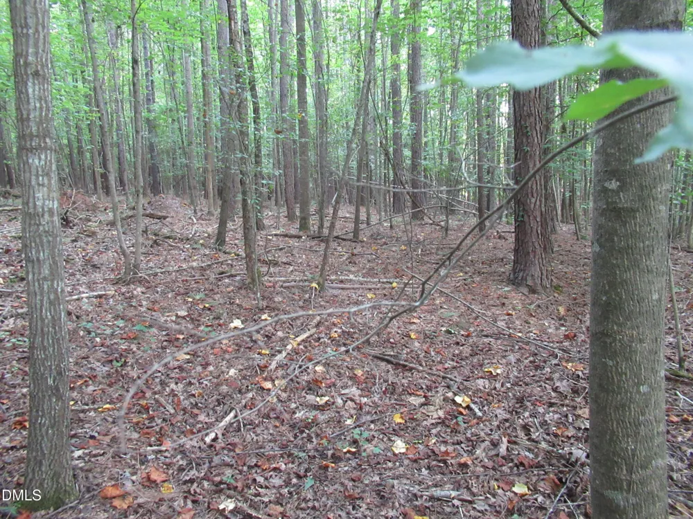 2643 Roberts Chapel Road Goldston, NC 27252