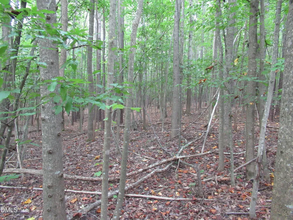 2643 Roberts Chapel Road Goldston, NC 27252