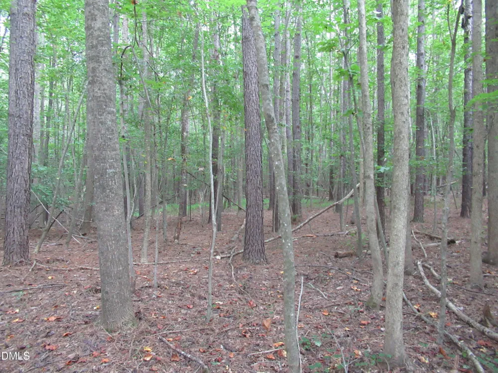 2643 Roberts Chapel Road Goldston, NC 27252