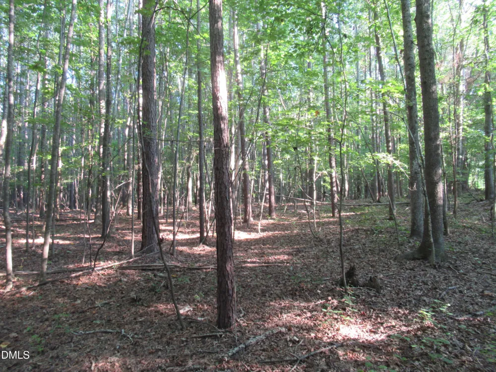2643 Roberts Chapel Road Goldston, NC 27252