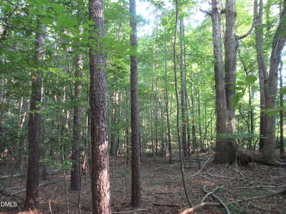 2643 Roberts Chapel Road Goldston, NC 27252