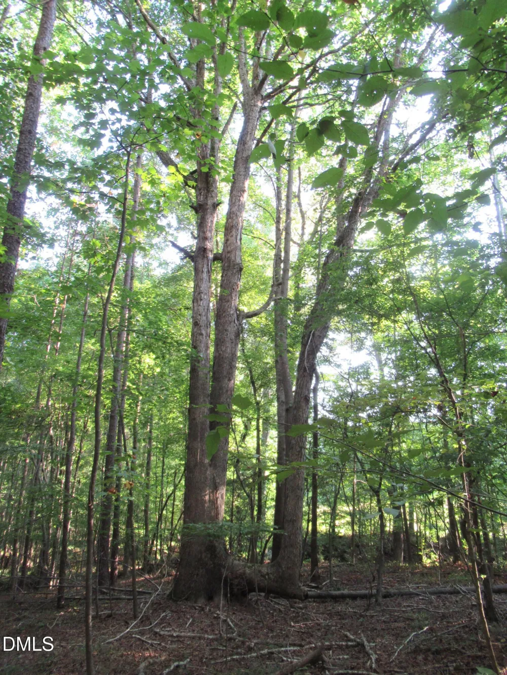 2643 Roberts Chapel Road Goldston, NC 27252