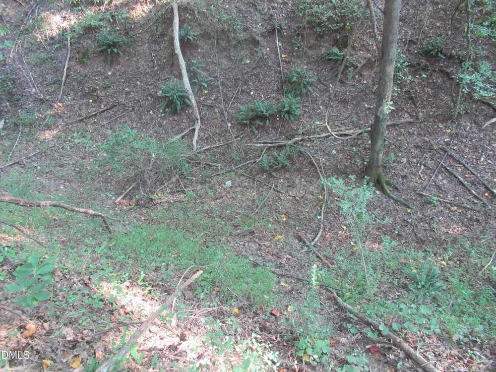 2643 Roberts Chapel Road Goldston, NC 27252