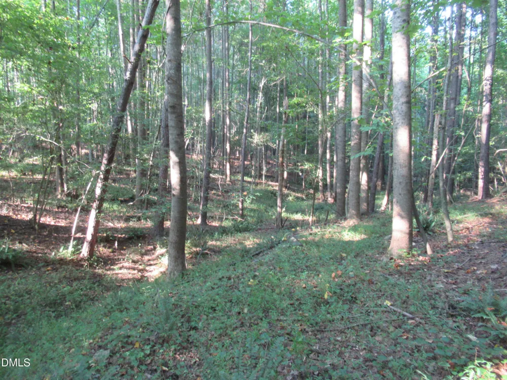 2643 Roberts Chapel Road Goldston, NC 27252