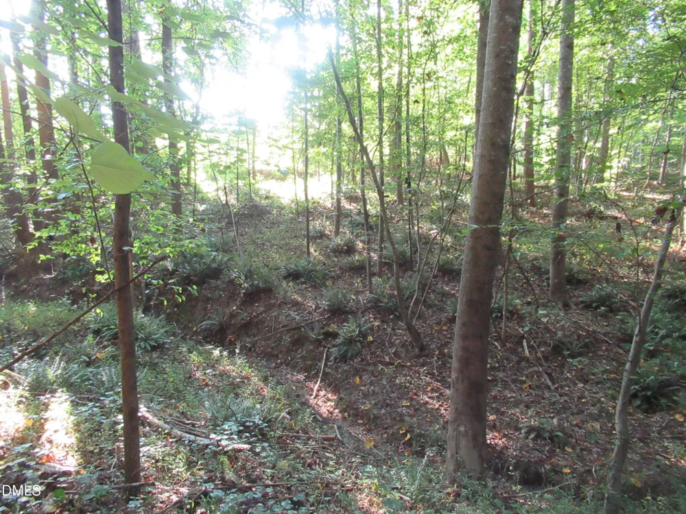 2643 Roberts Chapel Road Goldston, NC 27252