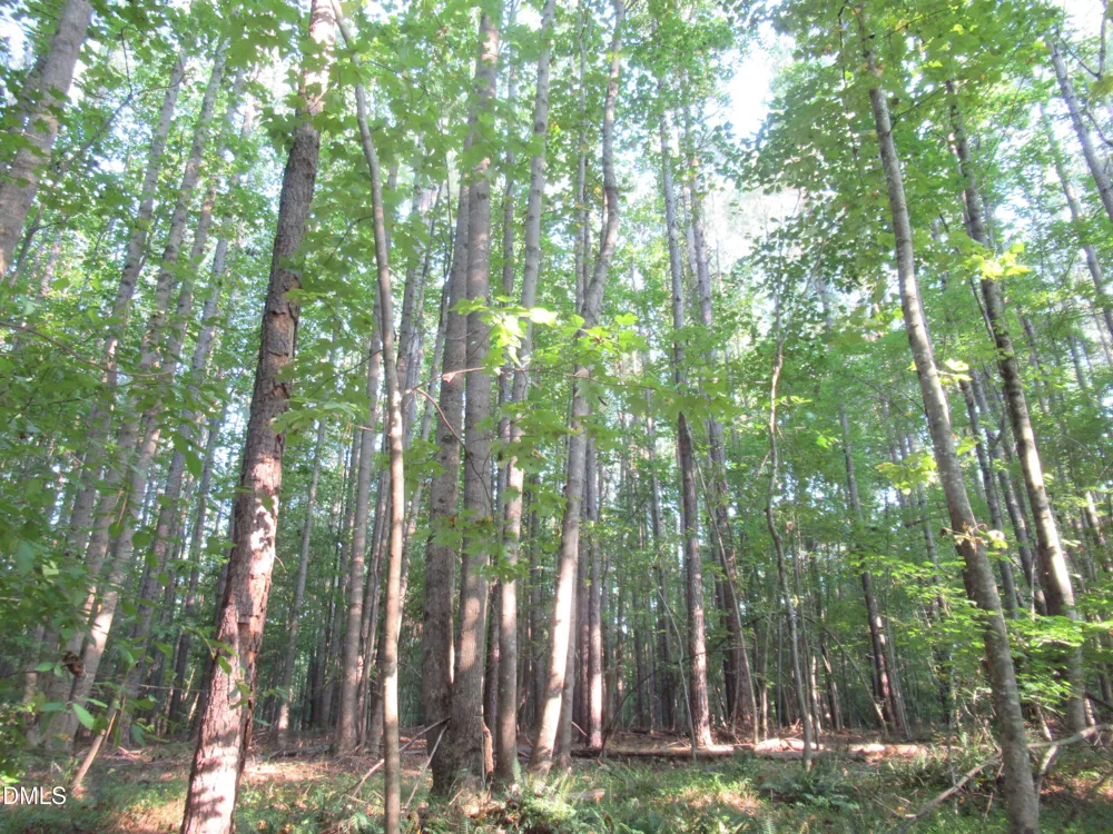 2643 Roberts Chapel Road Goldston, NC 27252