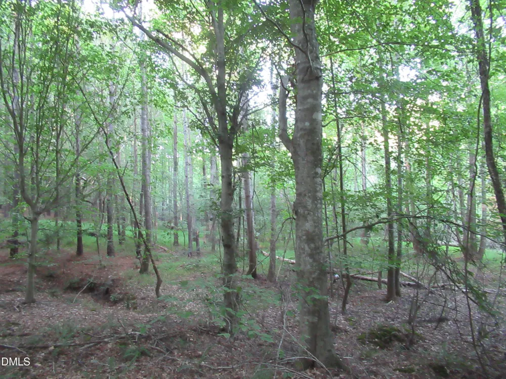 2643 Roberts Chapel Road Goldston, NC 27252