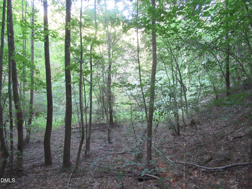 2643 Roberts Chapel Road Goldston, NC 27252