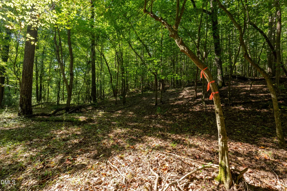 2643 Roberts Chapel Road Goldston, NC 27252