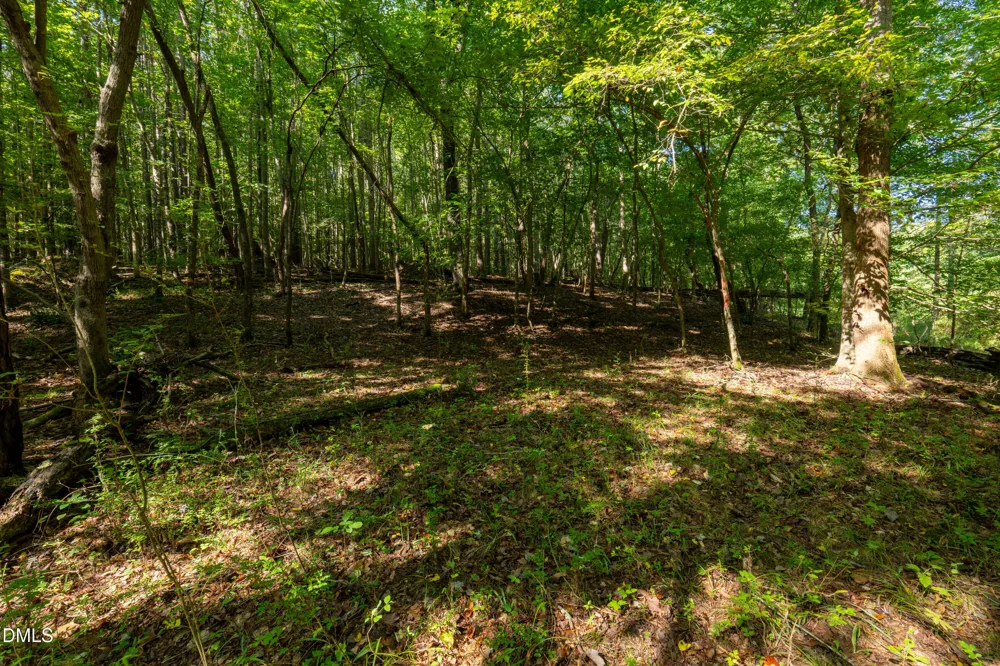 2643 Roberts Chapel Road Goldston, NC 27252