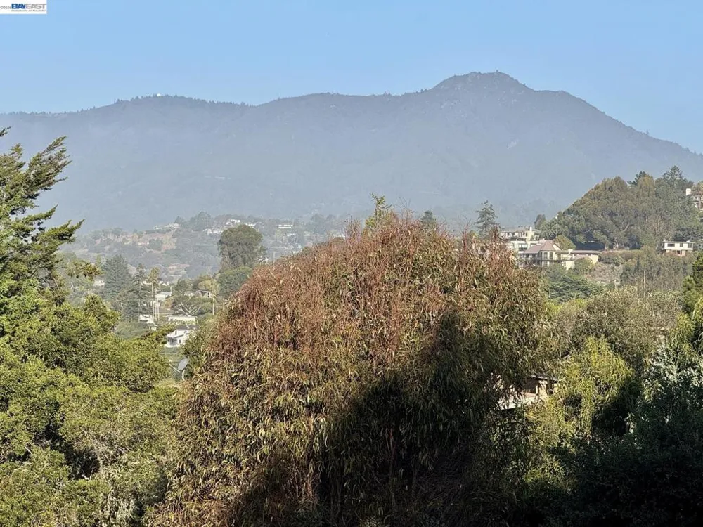 10 Andrew Dr Tiburon, CA 94920