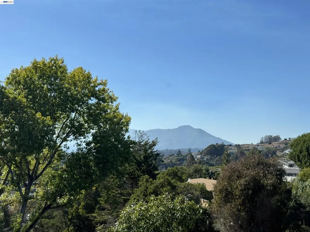 10 Andrew Dr Tiburon, CA 94920