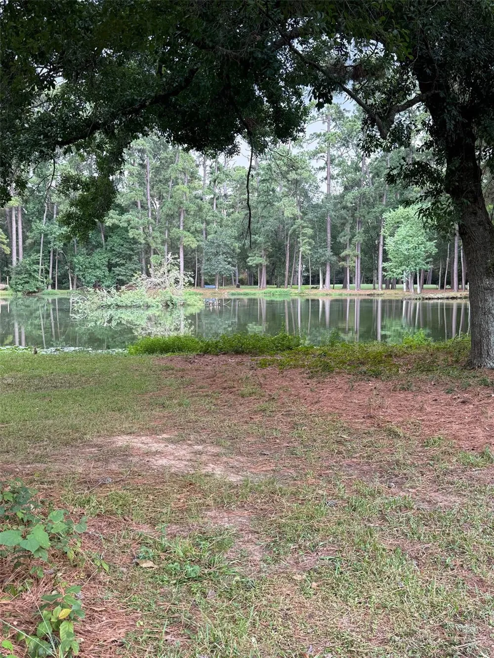 11 Holly Tree Lane Spring, TX 77373