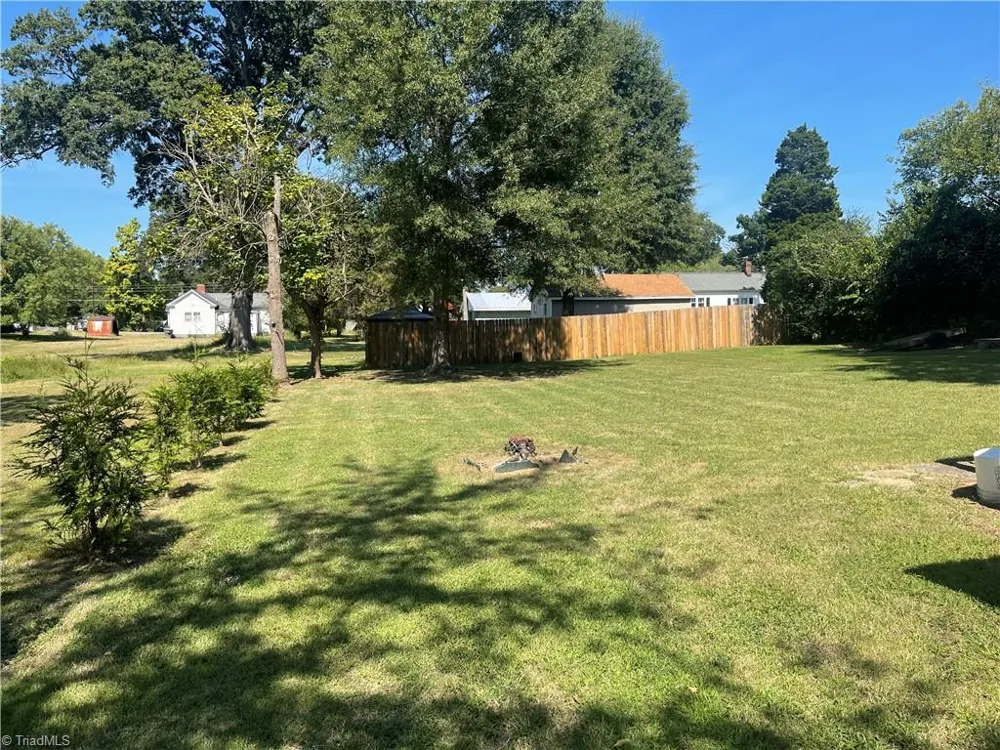 1443 Delaware Avenue Eden, NC 27288