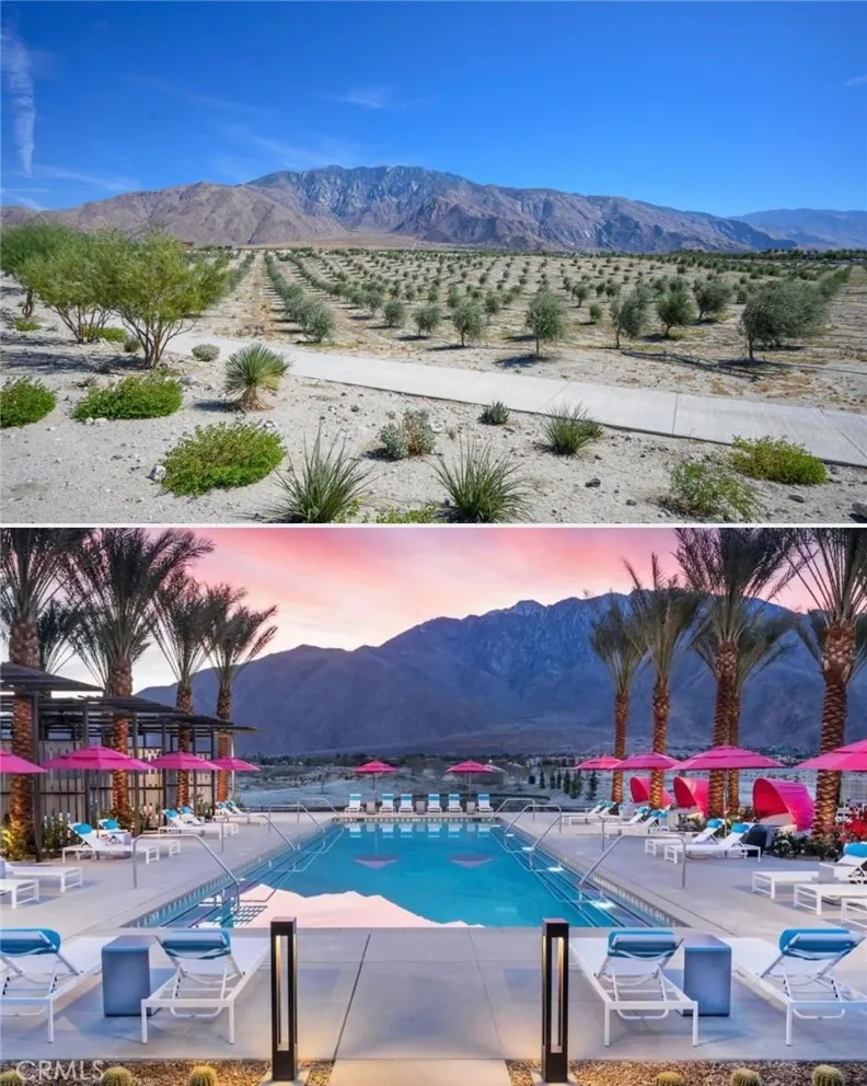 264 Mustang Palm Springs, CA 92262
