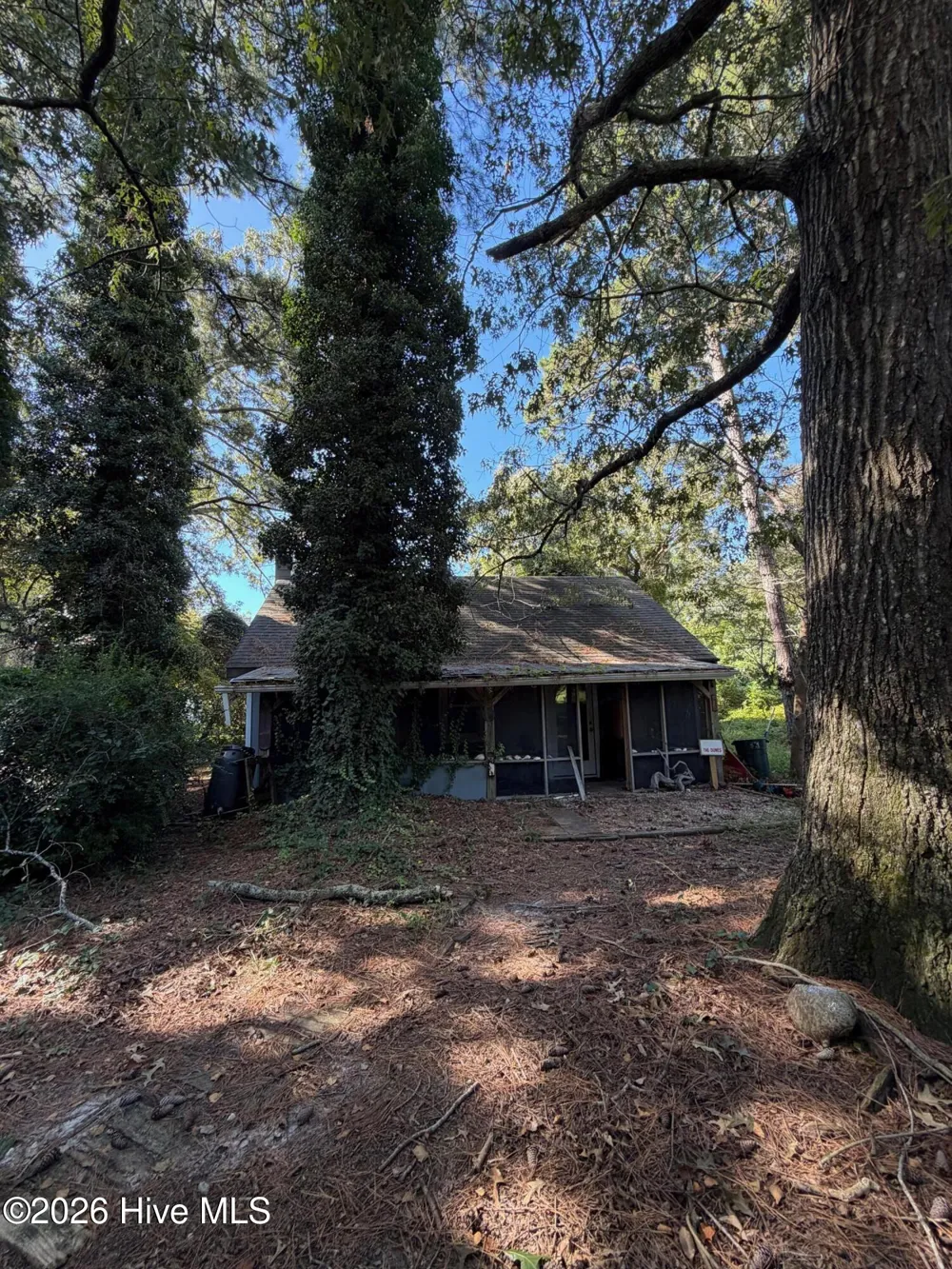 113 Forest Avenue Manteo, NC 27954