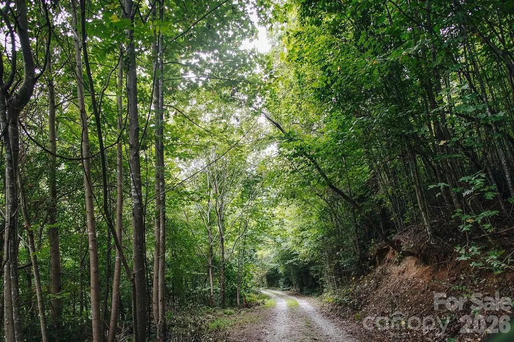 6830 Bat Cave Road Old Fort, NC 28762