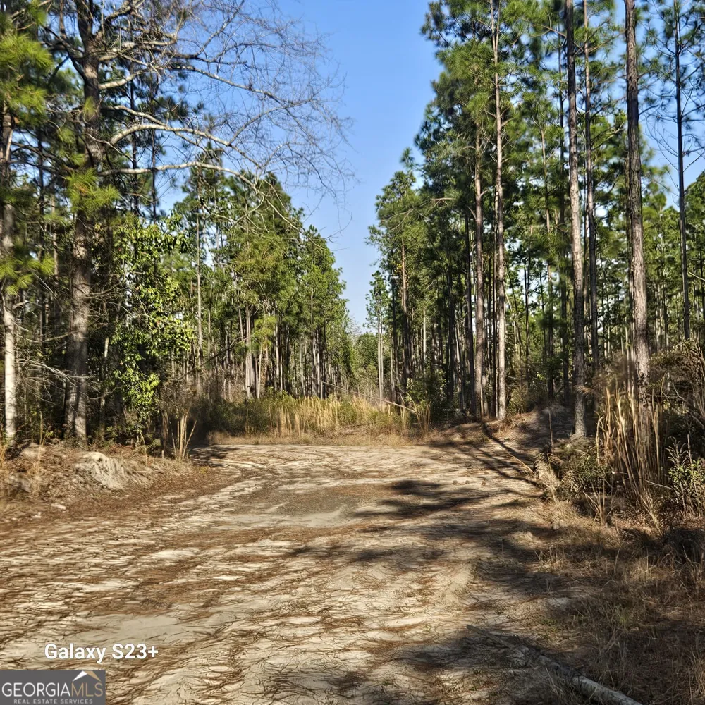 0 Mill Branch Club lot 1R RD Nevils, GA 31321