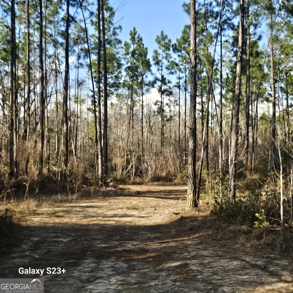 0 Mill Branch Club lot 1R RD Nevils, GA 31321