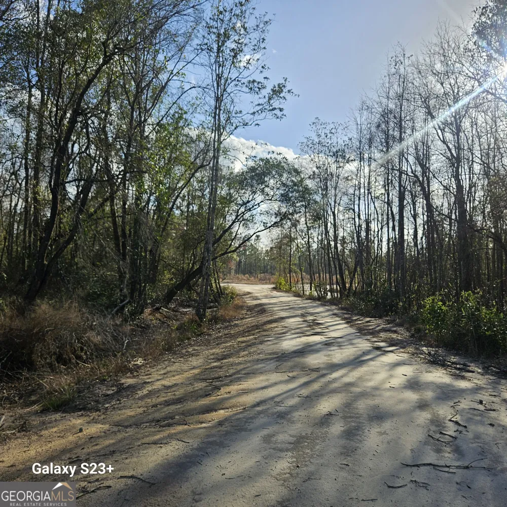 0 Mill Branch Club lot 1R RD Nevils, GA 31321