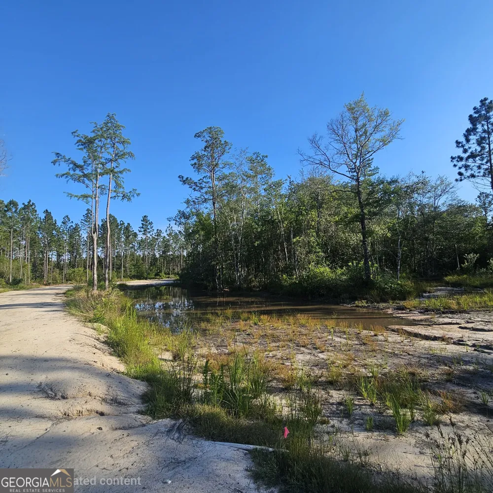 0 Mill Branch Club lot 1R RD Nevils, GA 31321