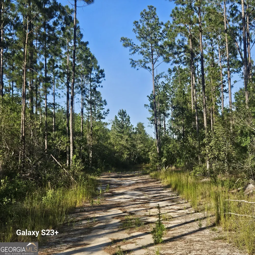 0 Mill Branch Club lot 1R RD Nevils, GA 31321