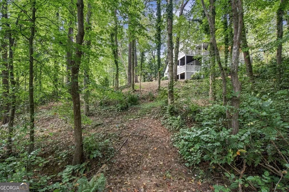 2038 Laurel CV Ball Ground, GA 30107