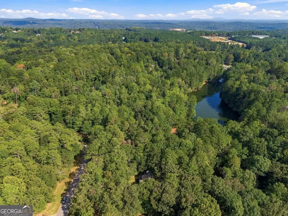 2038 Laurel CV Ball Ground, GA 30107
