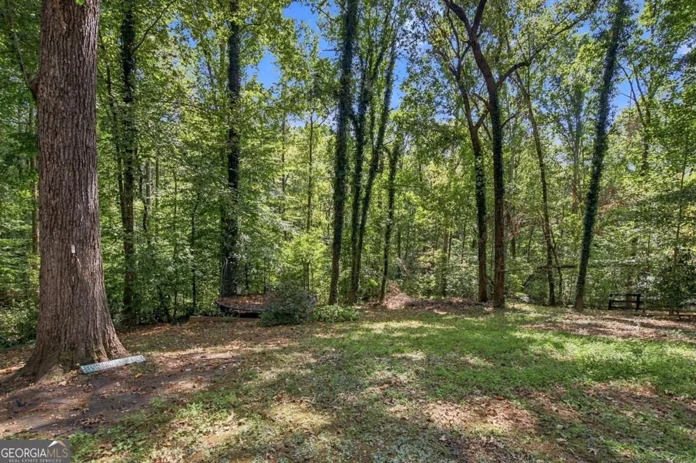 2038 Laurel CV Ball Ground, GA 30107