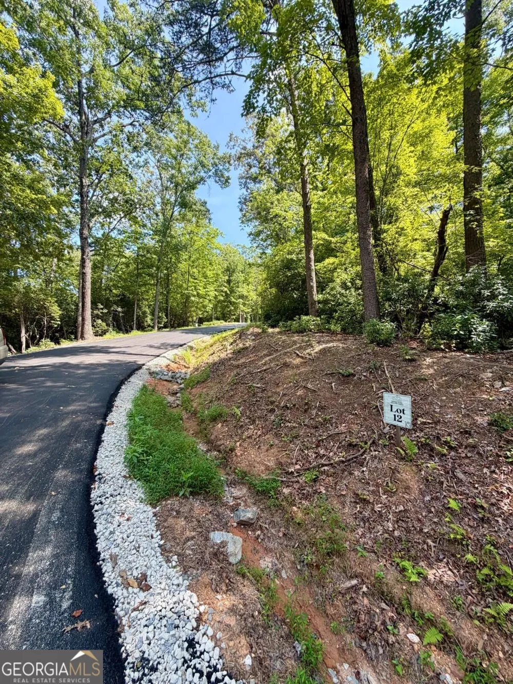 LOT 12 Sapphire RDG Blue Ridge, GA 30513