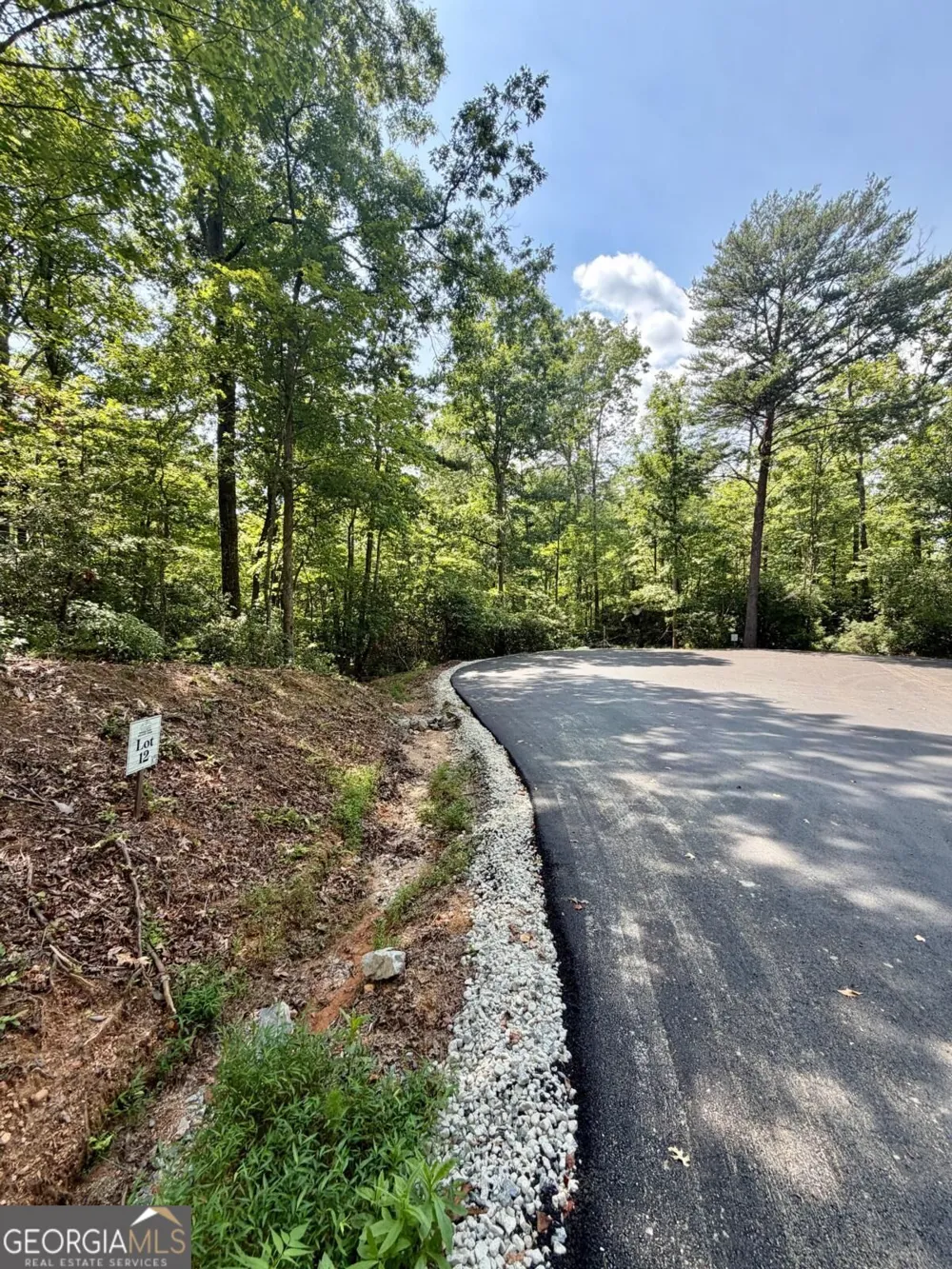 LOT 12 Sapphire RDG Blue Ridge, GA 30513