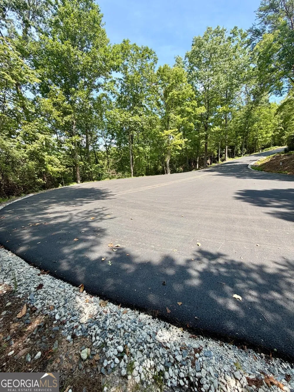 LOT 13 Sapphire RDG Blue Ridge, GA 30513