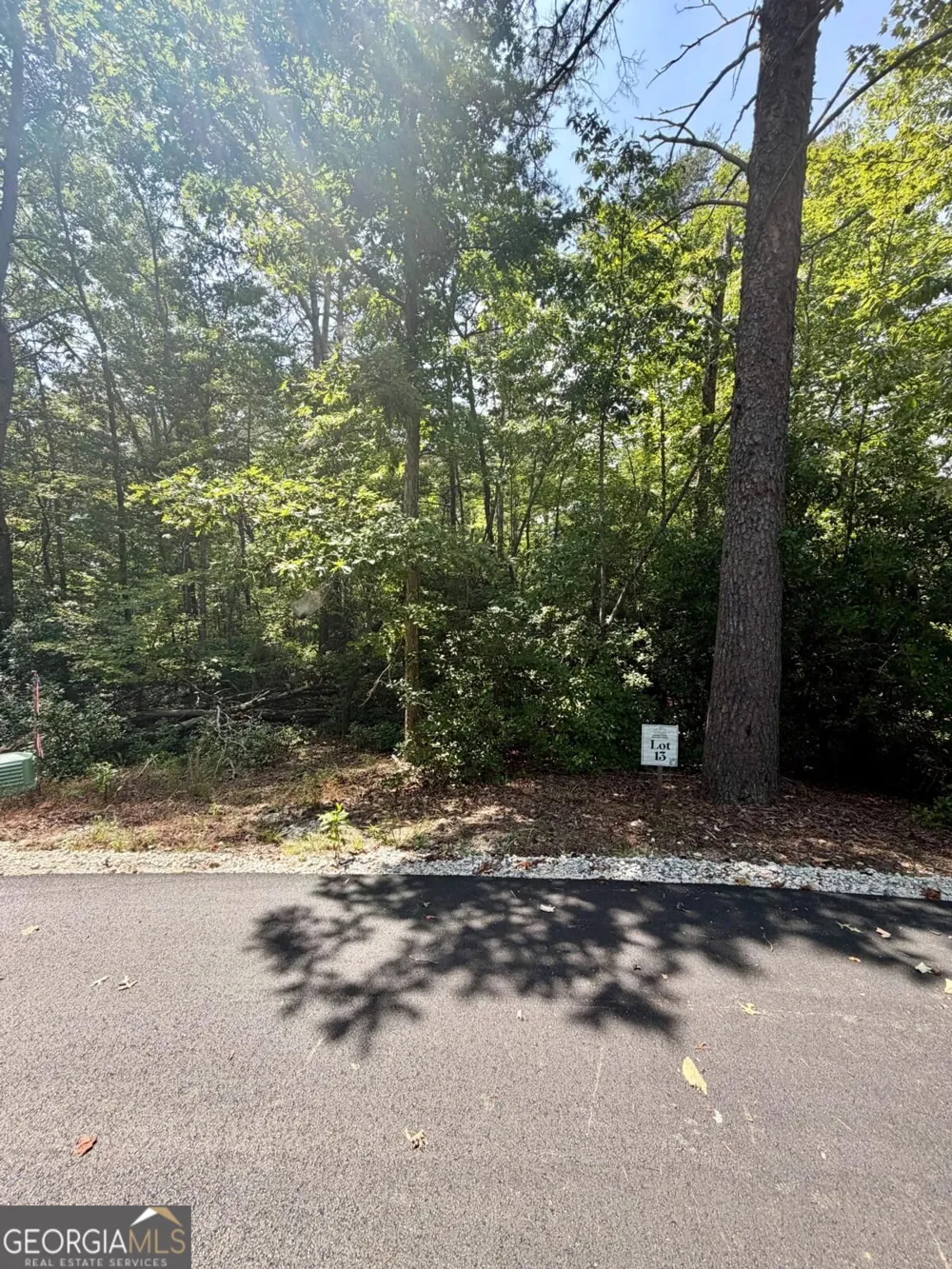 LOT 13 Sapphire RDG Blue Ridge, GA 30513