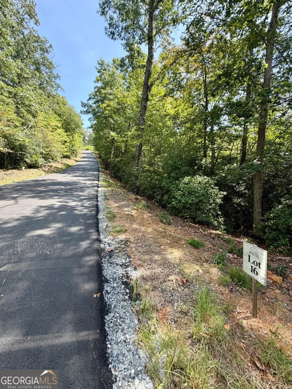 LOT 16 Turquoise RDG Blue Ridge, GA 30513