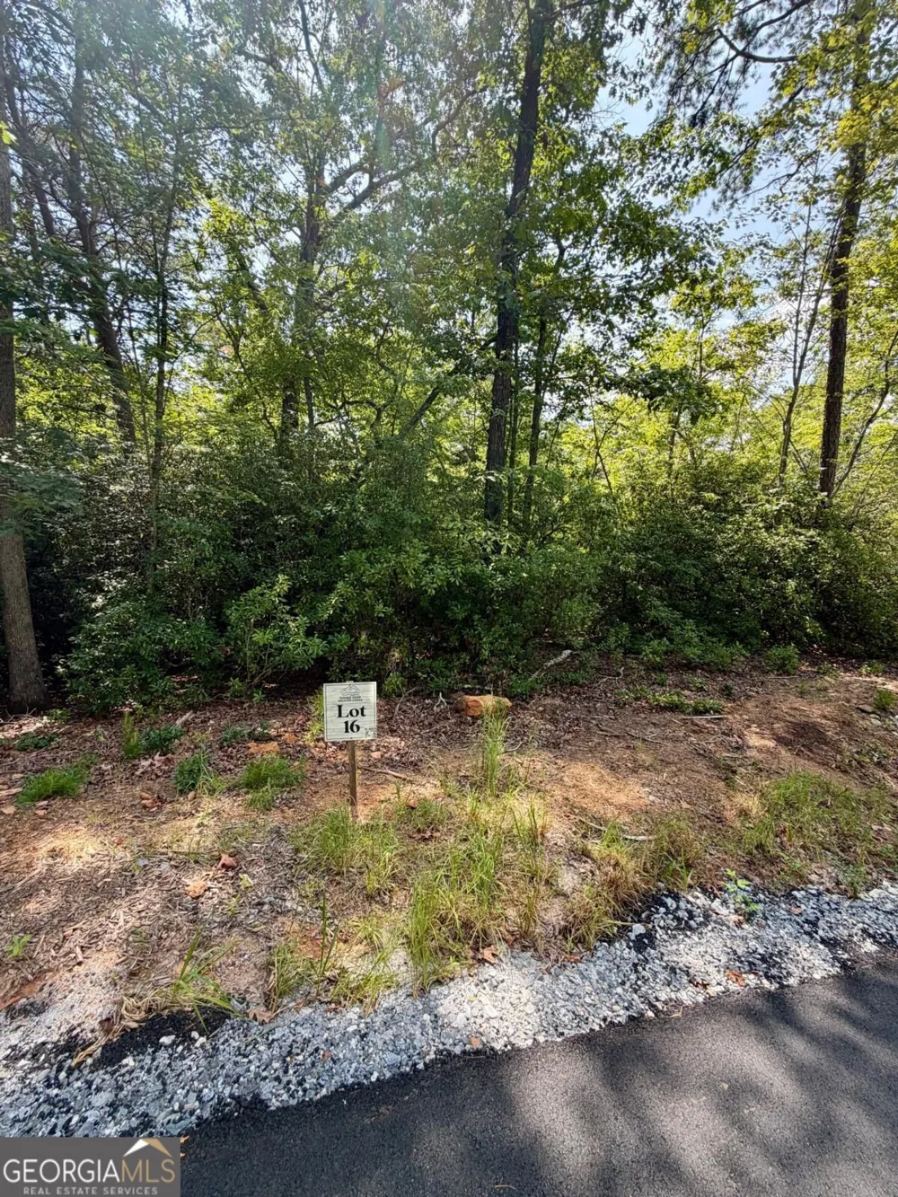 LOT 16 Turquoise RDG Blue Ridge, GA 30513