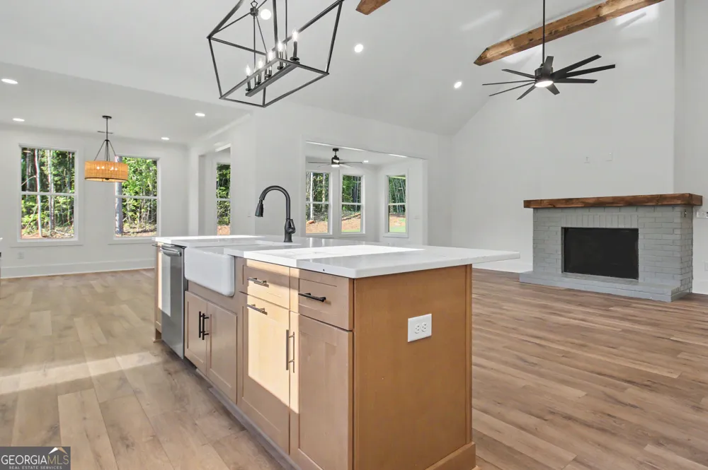 176 Ryeland DR Senoia, GA 30276