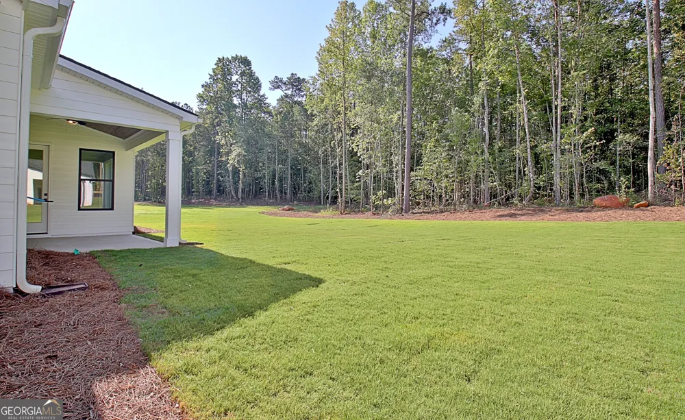 176 Ryeland DR Senoia, GA 30276