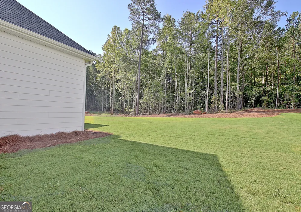 176 Ryeland DR Senoia, GA 30276